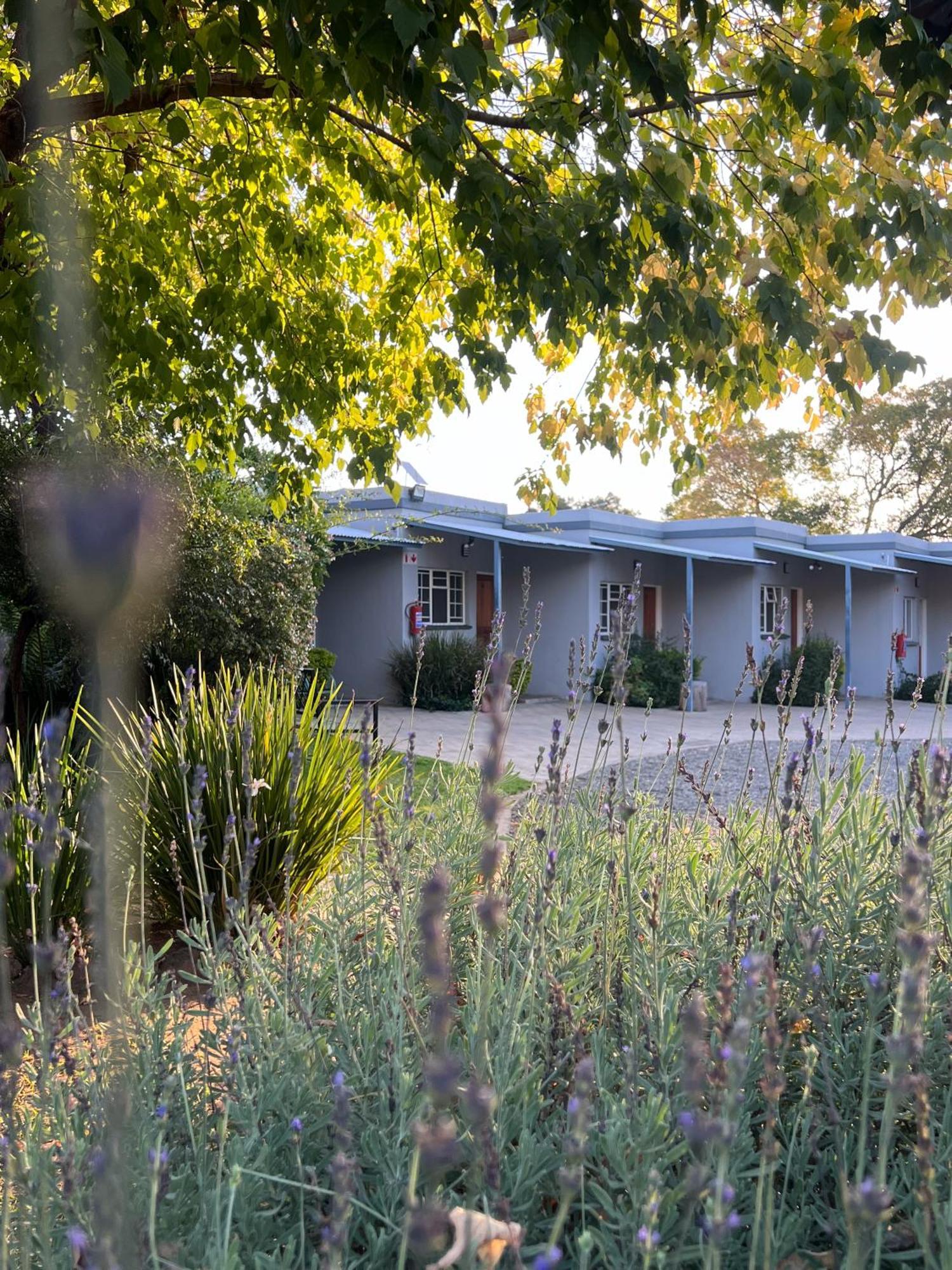 Patterson B&B Newcastle Zewnętrze zdjęcie