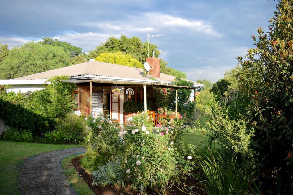 Patterson B&B Newcastle Zewnętrze zdjęcie